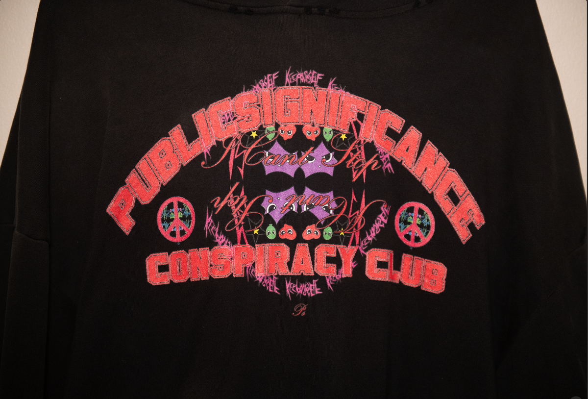 PUBLIC SIGNIFICANCE CONSPIRACY CLUB HOODIE